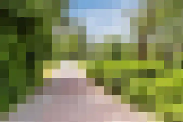 Flevolaan 141 Amstelveen thumbnail 39
