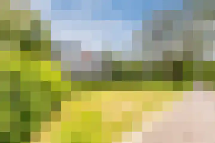 Flevolaan 141 Amstelveen thumbnail 41