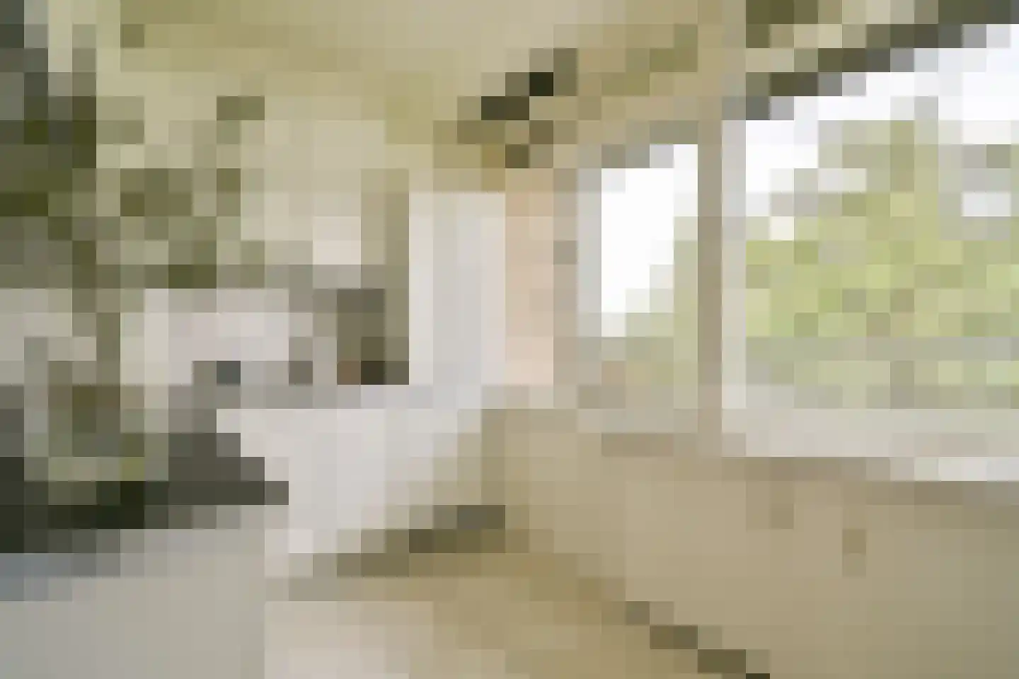 Flevolaan 159 Amstelveen thumbnail 19