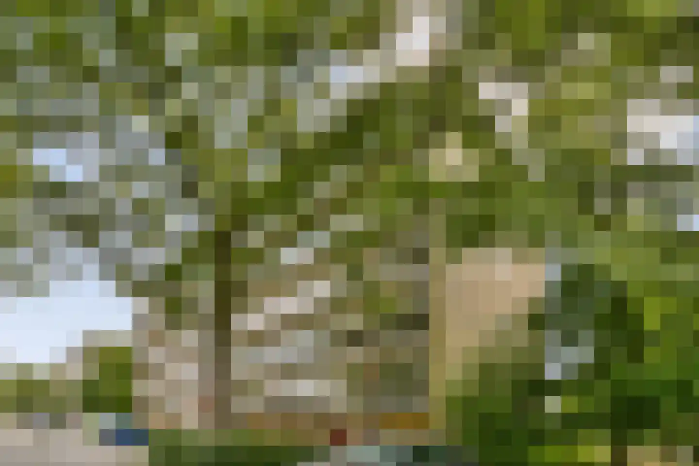 Flevolaan 159 Amstelveen thumbnail 6