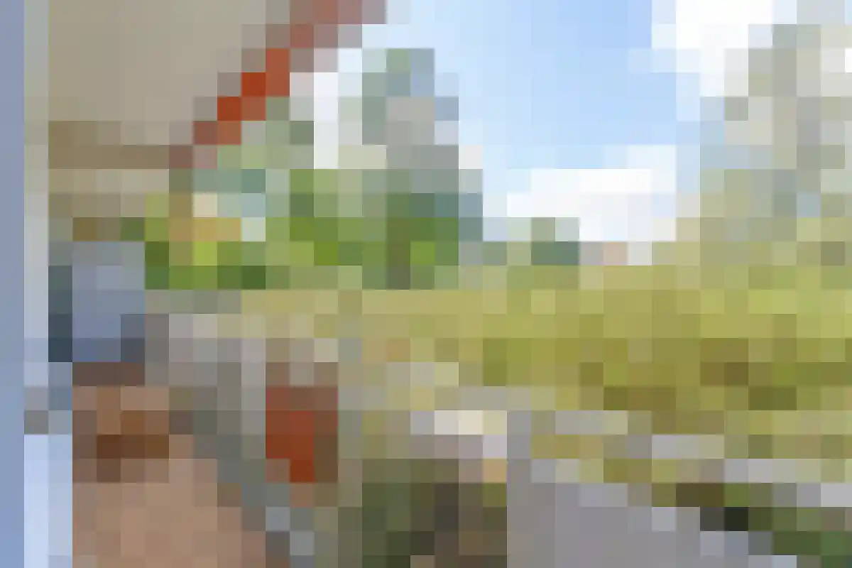 Flevolaan 163 Amstelveen thumbnail 4