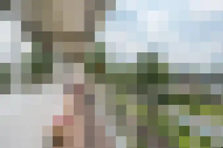 Flevolaan 187 Amstelveen thumbnail 30