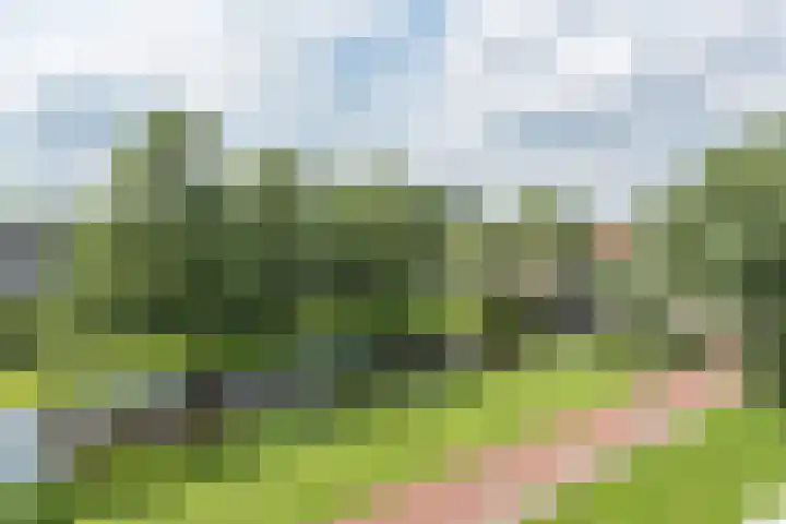 Flevolaan 187 Amstelveen thumbnail 31