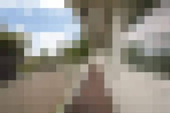 Flevolaan 187 Amstelveen thumbnail 33