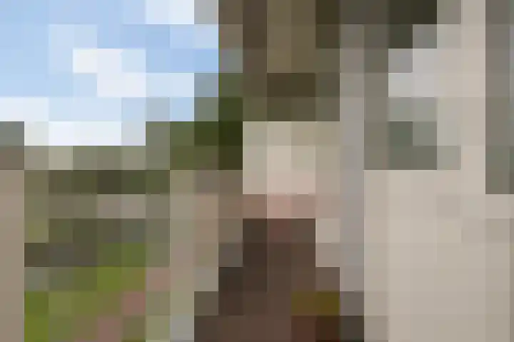 Flevolaan 187 Amstelveen thumbnail 34