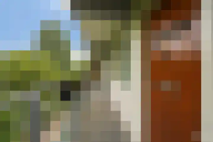Flevolaan 187 Amstelveen thumbnail 35