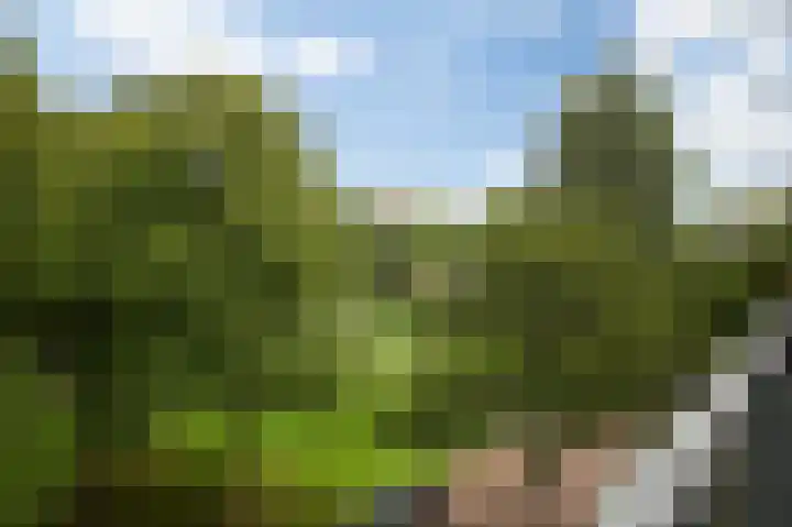 Flevolaan 187 Amstelveen thumbnail 36