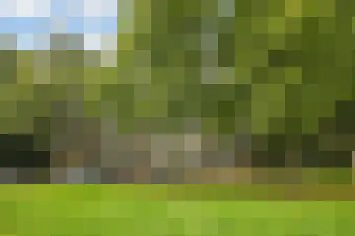Flevolaan 187 Amstelveen thumbnail 39