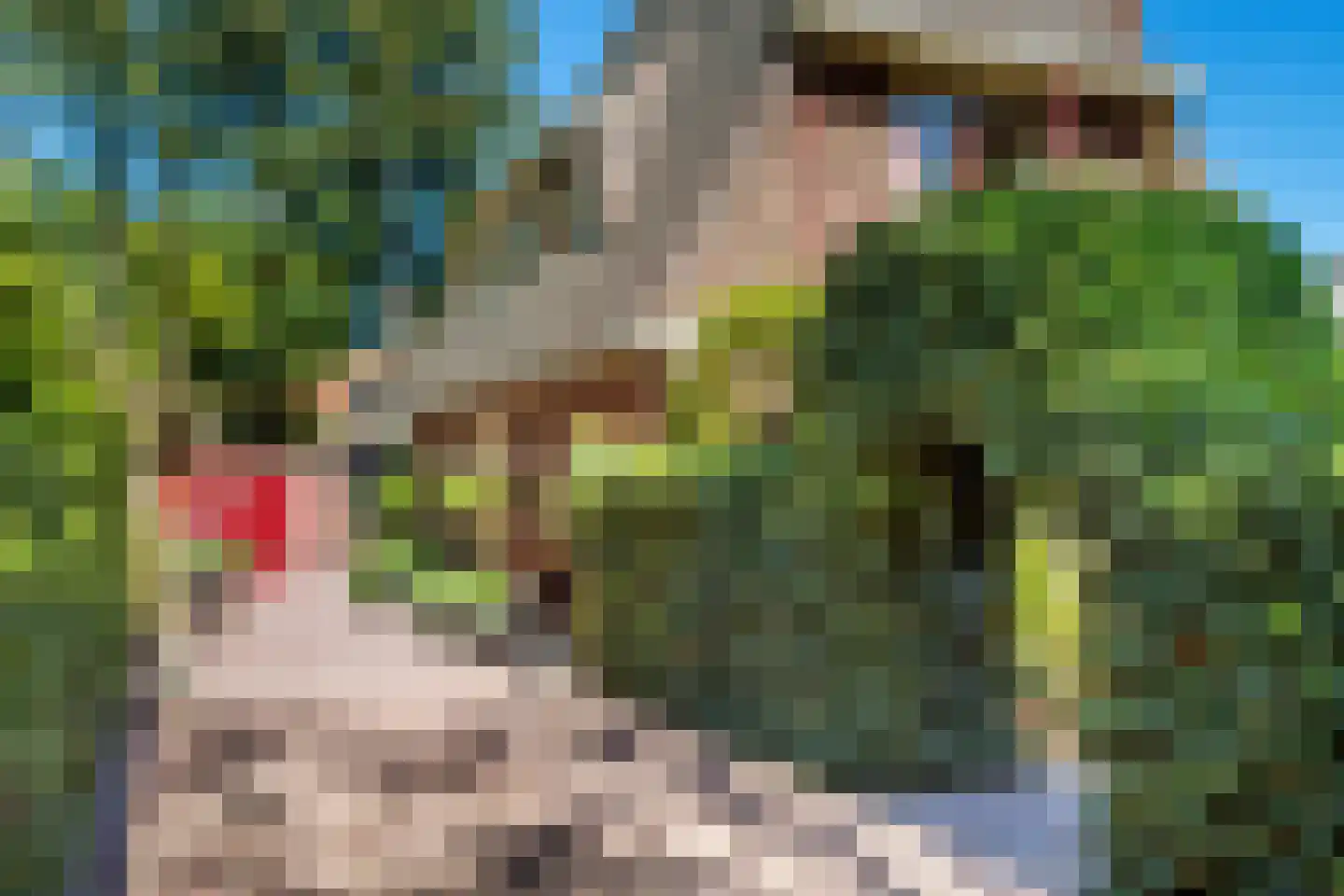 Flevolaan 26 Naarden thumbnail 34