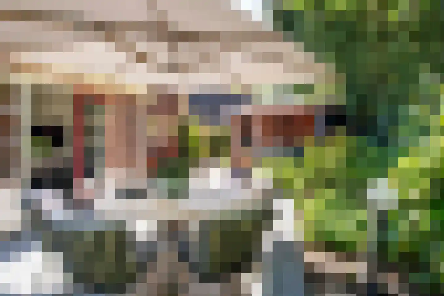 Flevolaan 26 Naarden thumbnail 36