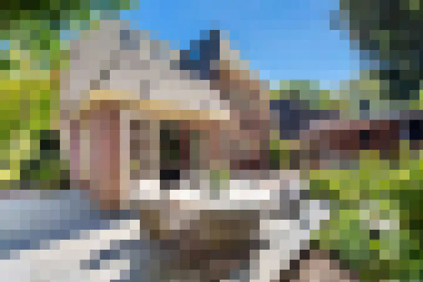 Flevolaan 26 Naarden thumbnail 6