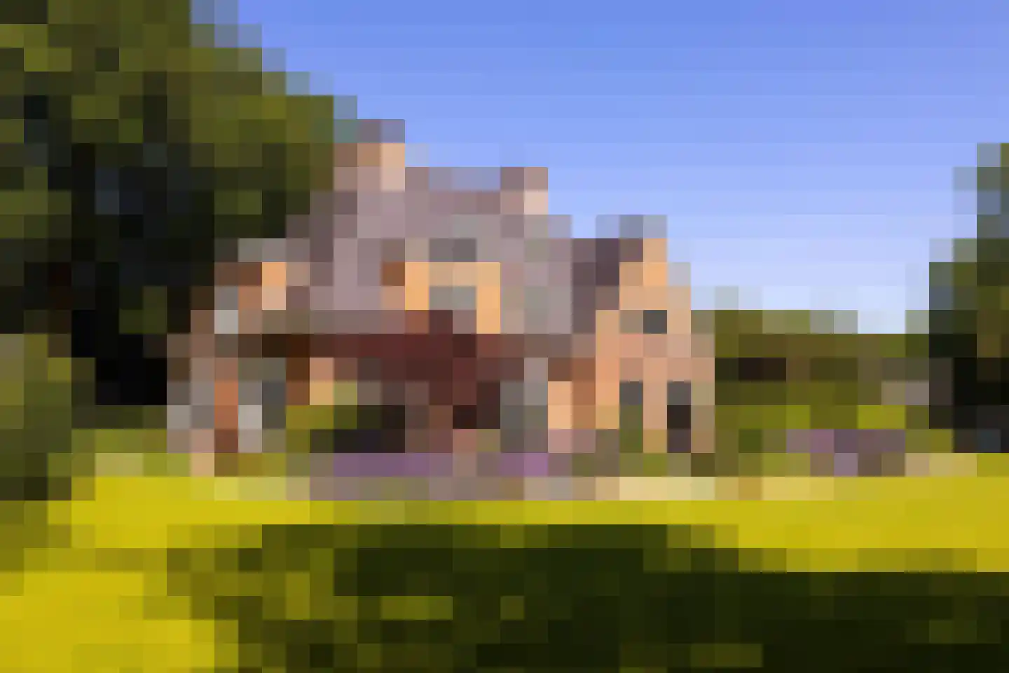 Flevolaan 3 Huizen foto 3