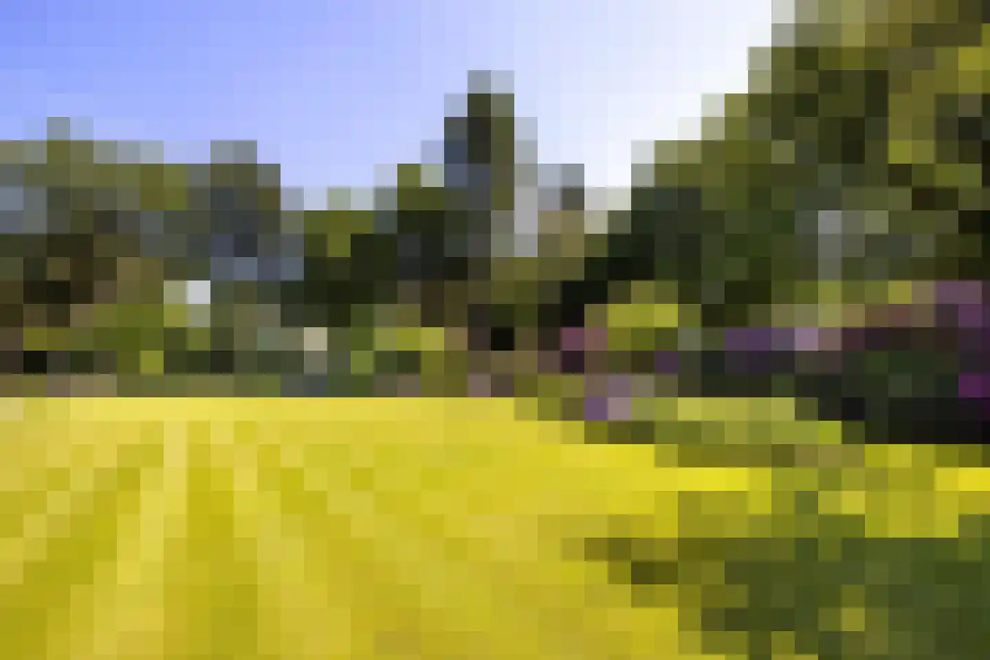 Flevolaan 3 Huizen thumbnail 38
