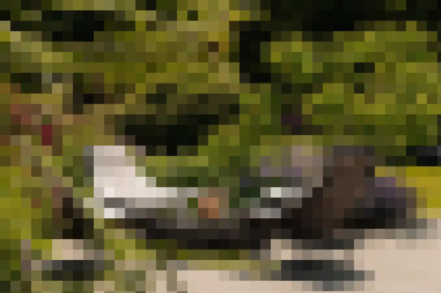 Flevolaan 3 Huizen thumbnail 40