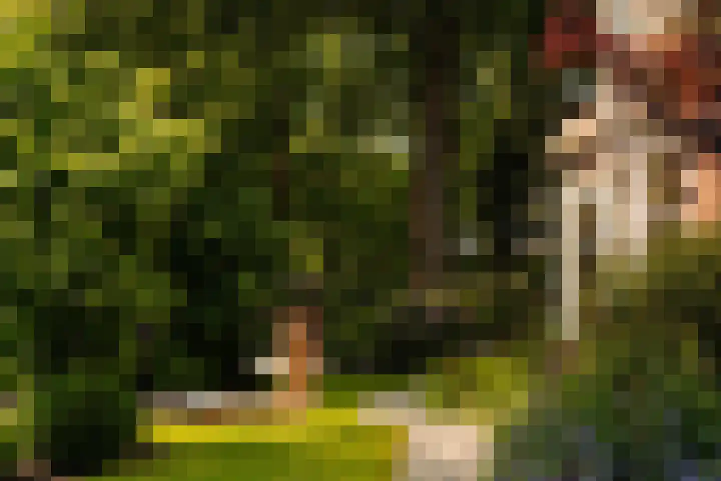 Flevolaan 3 Huizen thumbnail 5
