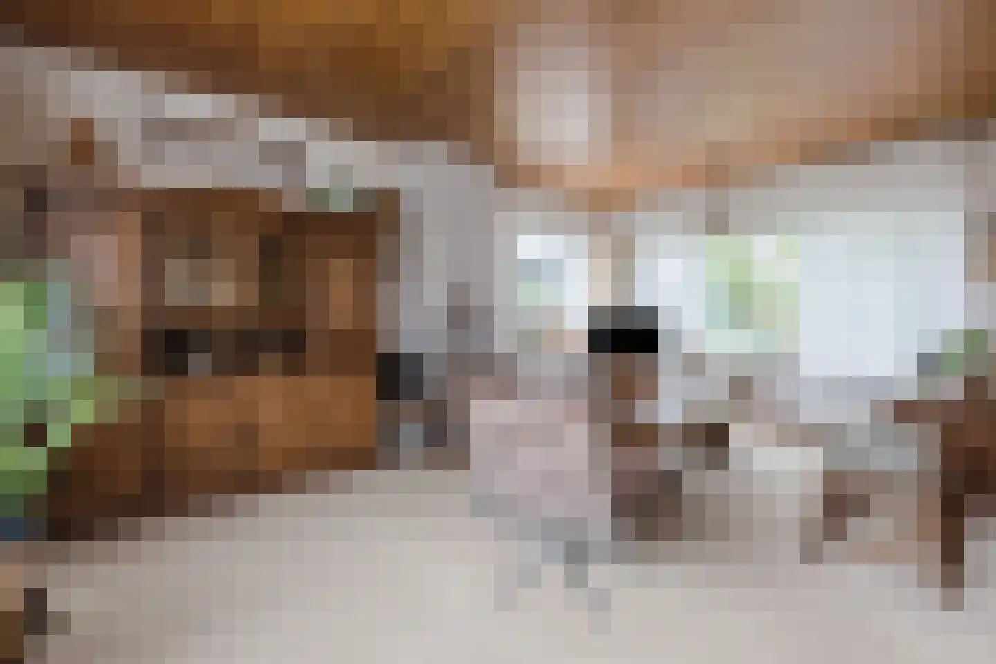 Flevolaan 3 Stadskanaal thumbnail 11
