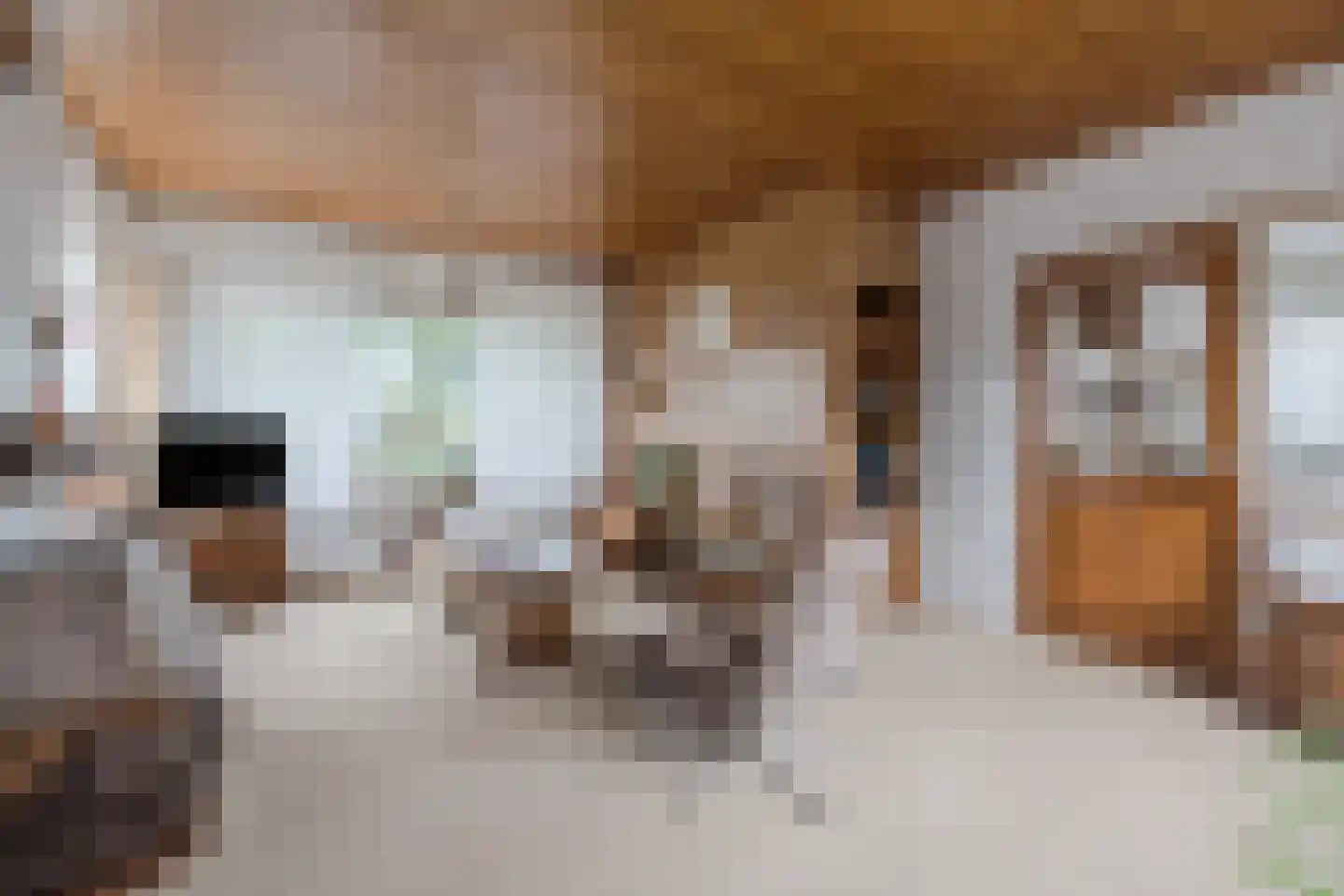 Flevolaan 3 Stadskanaal thumbnail 12