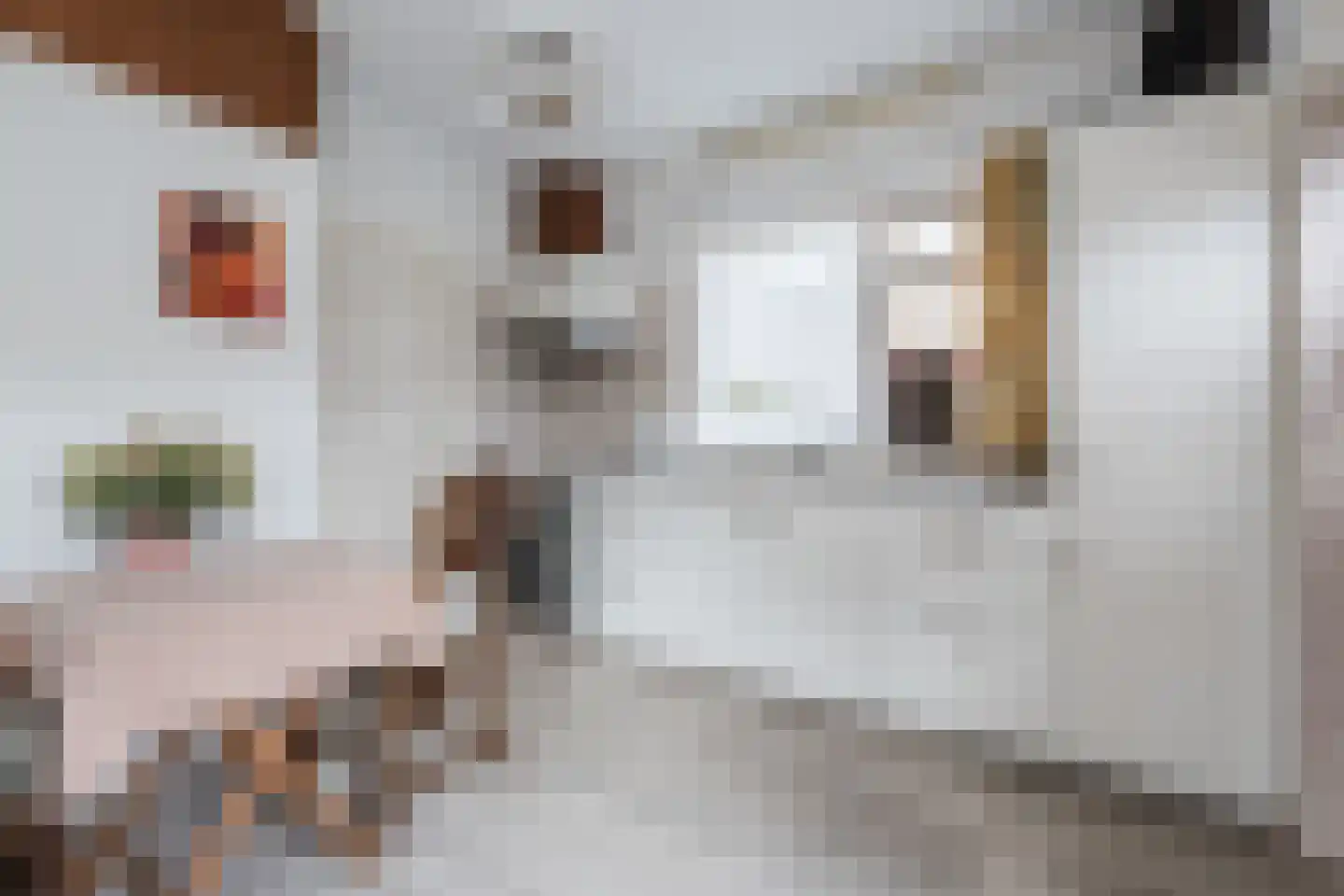 Flevolaan 3 Stadskanaal thumbnail 19
