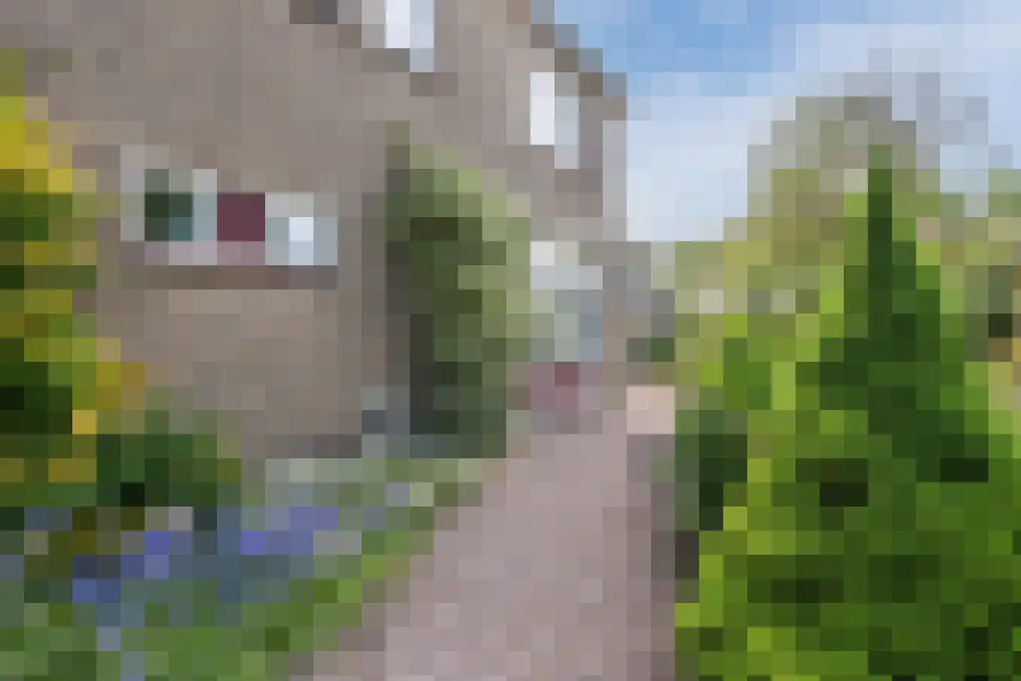 Flevolaan 3 Stadskanaal thumbnail 6