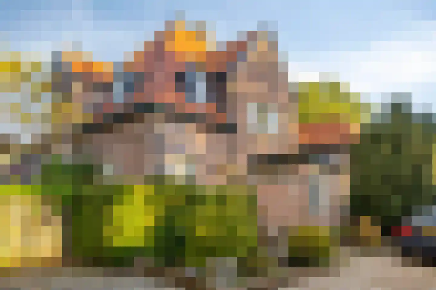 Flevolaan 51 in Naarden