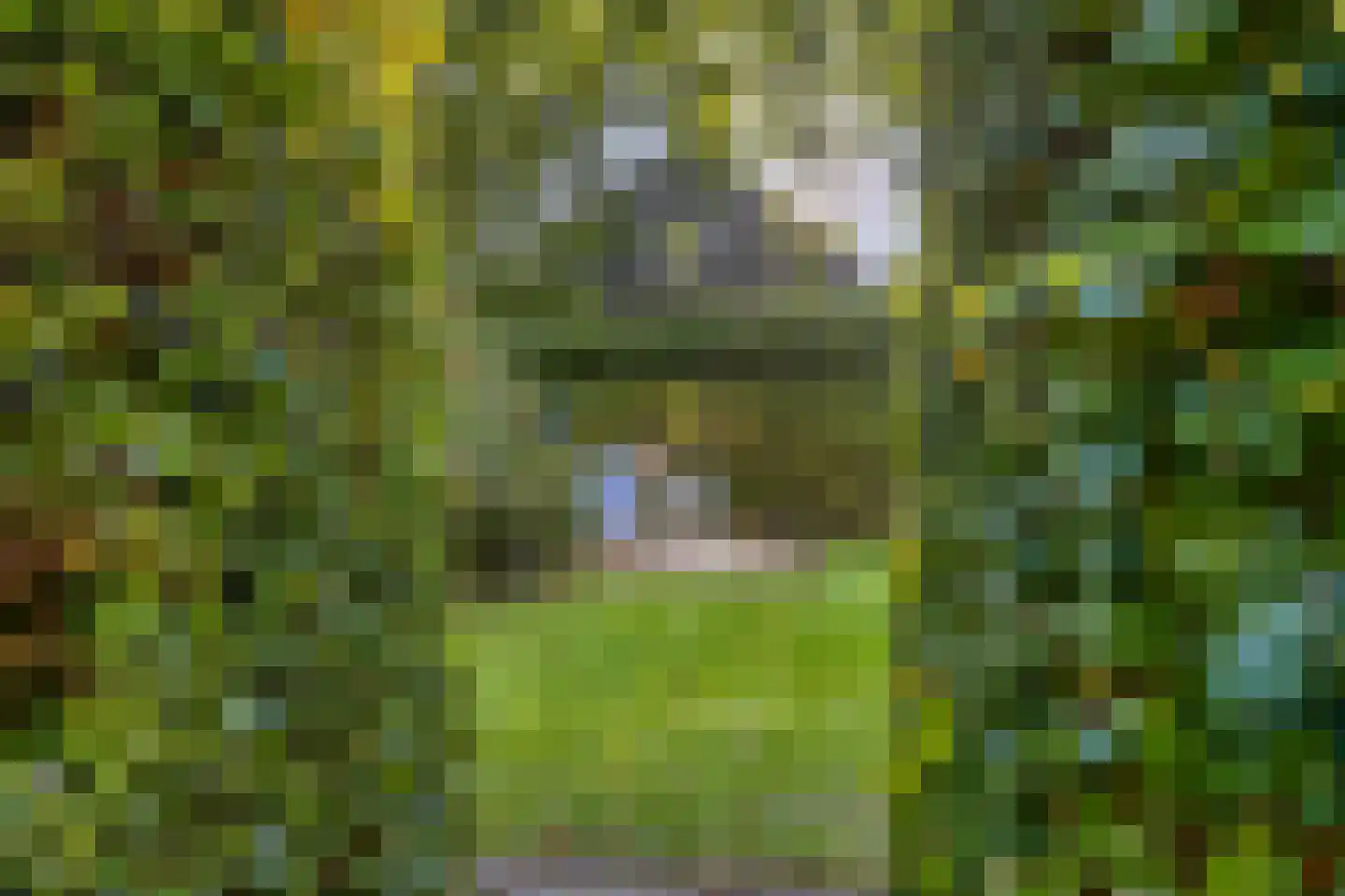 Flevolaan 51 Naarden thumbnail 22