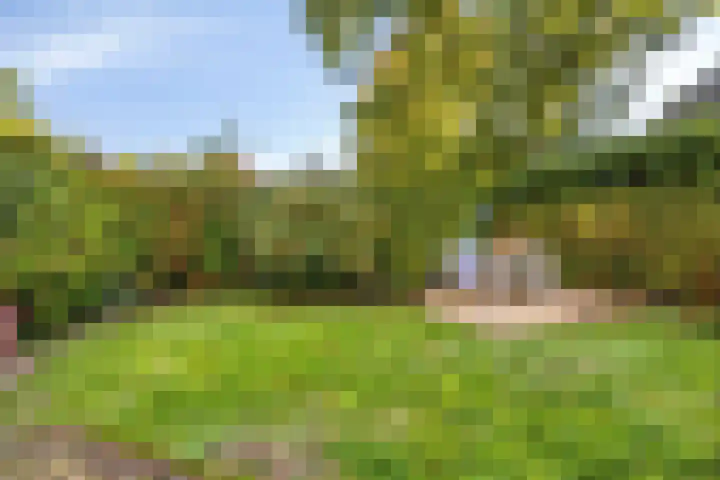 Flevolaan 51 Naarden thumbnail 23