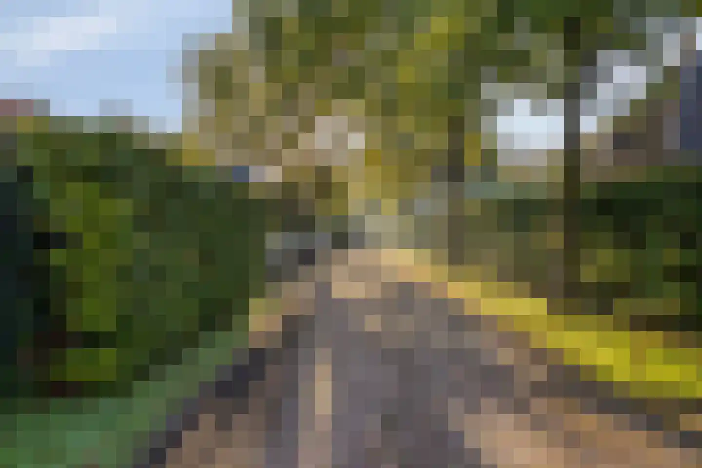 Flevolaan 51 Naarden thumbnail 27