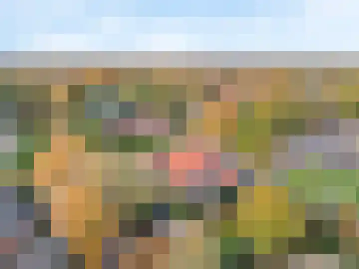 Flevolaan 51 Naarden thumbnail 31