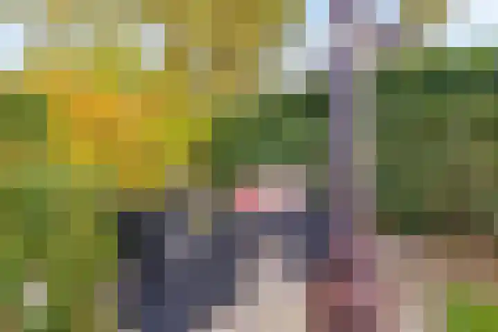 Flevolaan 51 Naarden thumbnail 34