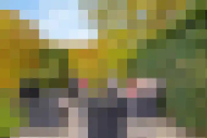 Flevolaan 51 Naarden thumbnail 35