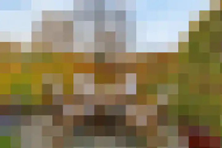 Flevolaan 51 Naarden thumbnail 37