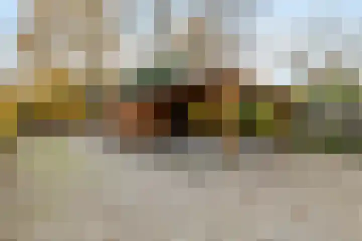 Flevolaan 51 Naarden thumbnail 38
