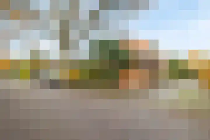 Flevolaan 51 Naarden thumbnail 39