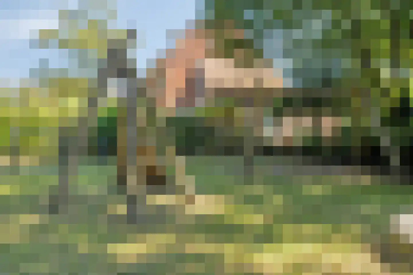 Flevolaan 6 Muiderberg thumbnail 33
