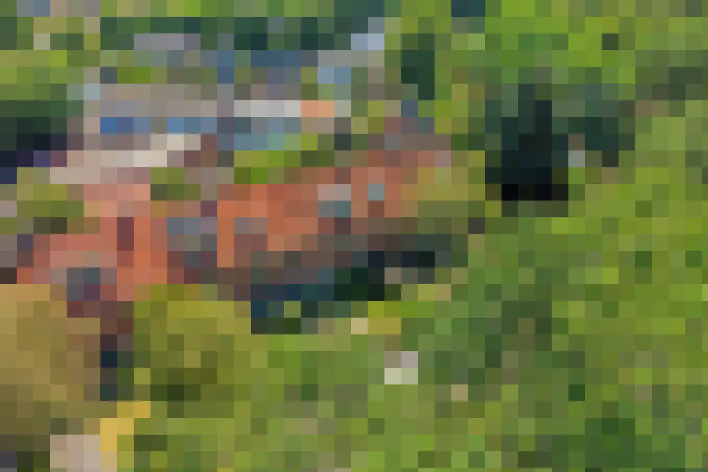 Flevolaan 6 Muiderberg thumbnail 38