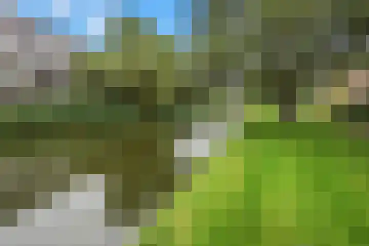 Flevolaan 95 Amstelveen thumbnail 5