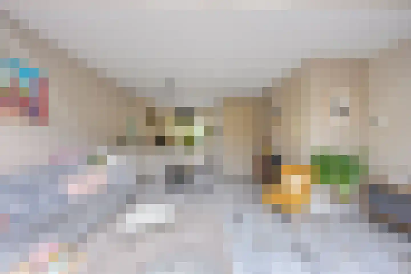 Flevolanderstraat 2 Utrecht thumbnail 17