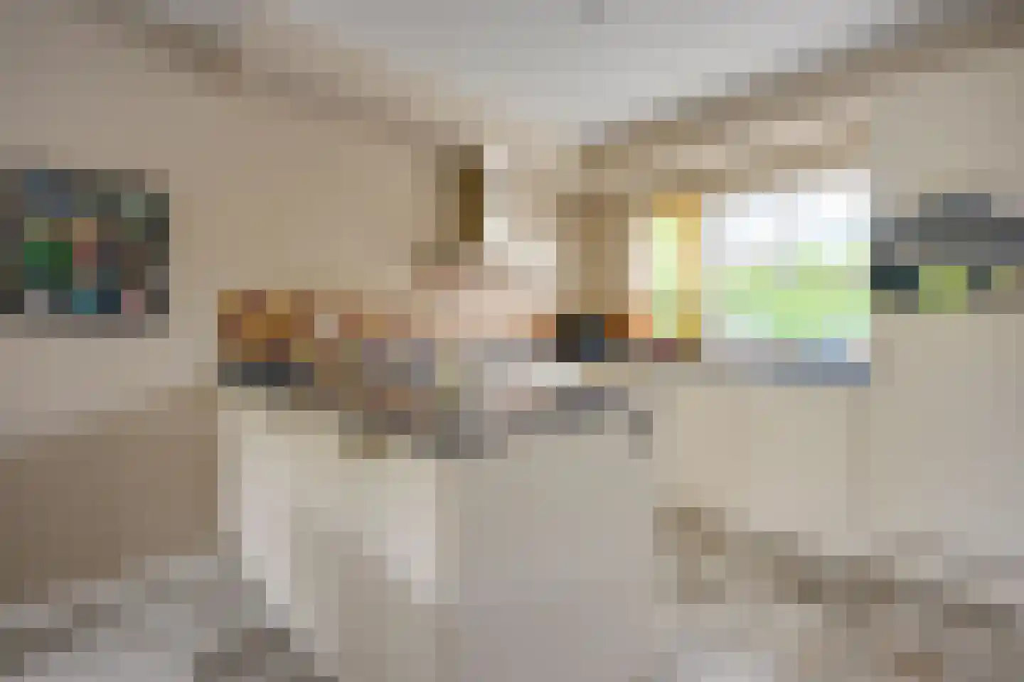 Flevolanderstraat 2 Utrecht thumbnail 18