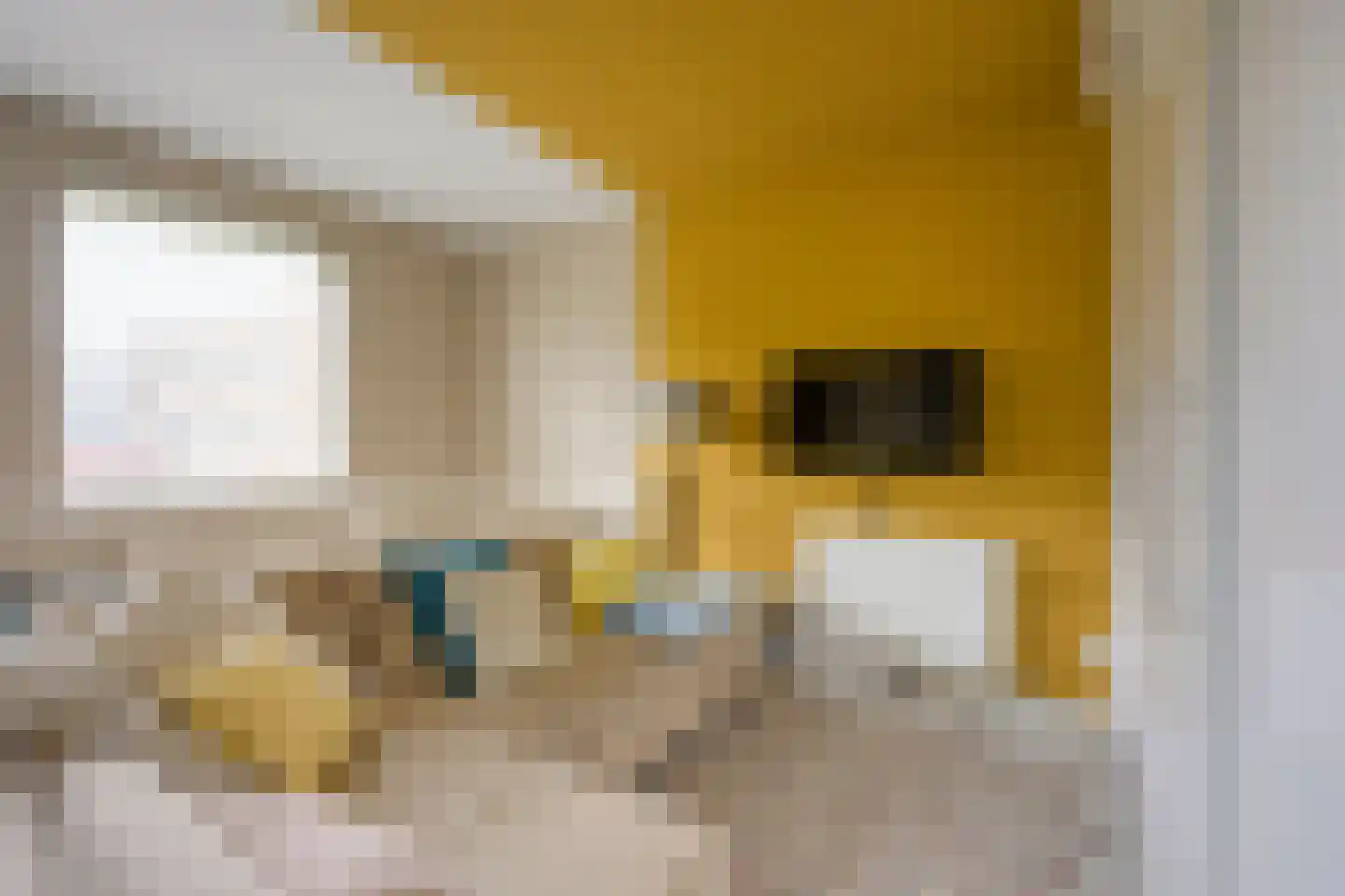Flevolanderstraat 2 Utrecht thumbnail 29