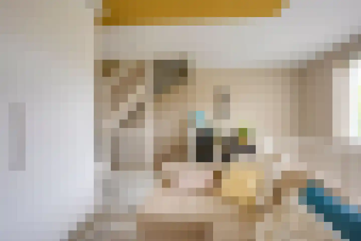 Flevolanderstraat 2 Utrecht thumbnail 31