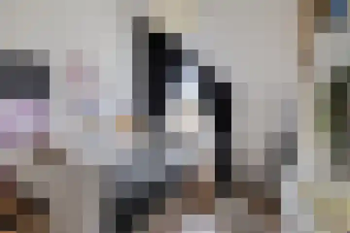 Flevolandhof 5 Helmond thumbnail 13