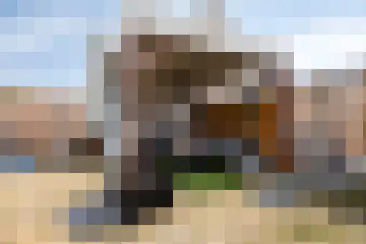 Flevolandhof 5 Helmond thumbnail 25