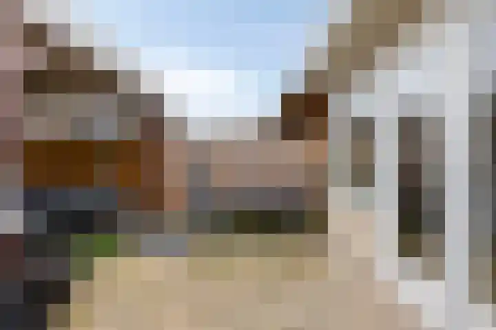 Flevolandhof 5 Helmond thumbnail 26