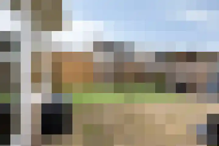 Flevolandhof 5 Helmond thumbnail 27