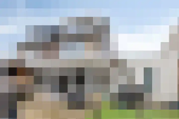 Flevolandhof 5 Helmond thumbnail 29