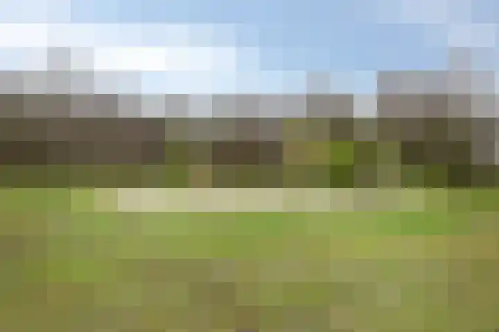 Flevolandhof 5 Helmond thumbnail 31