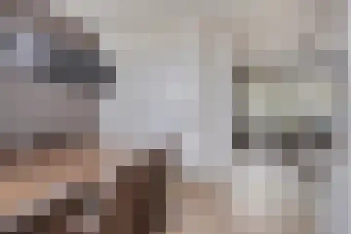 Flevolandlaan 18 Eindhoven thumbnail 14