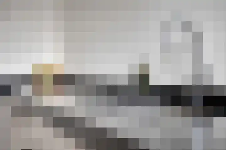 Flevolandlaan 18 Eindhoven thumbnail 17
