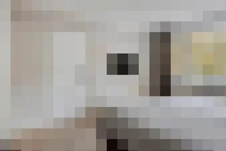Flevolandlaan 18 Eindhoven thumbnail 21