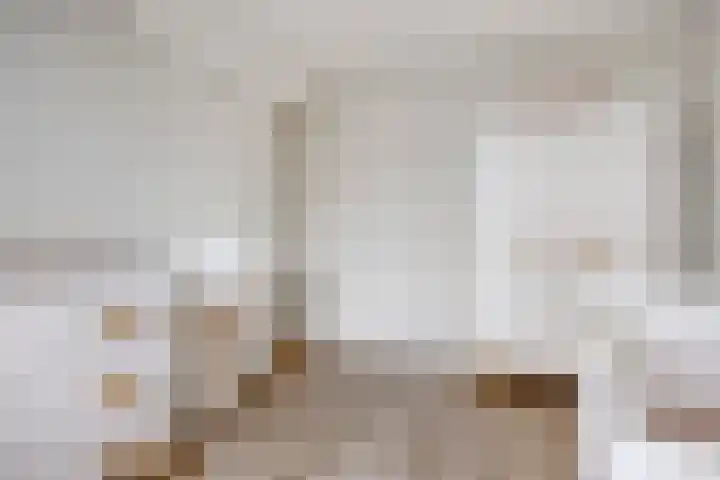 Flevolandlaan 18 Eindhoven thumbnail 25